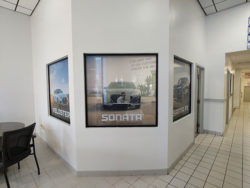 Brandon-Hyundai-Showroom-Window-Graphics-1