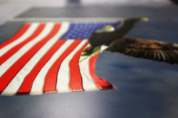 Eagle-and-Flag-Textured-Print