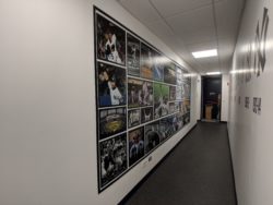 NYY-Collage-Wall-Graphic-1