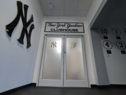 NYY-Window-Graphic