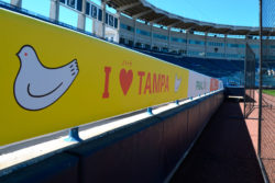 Baseline railing banners